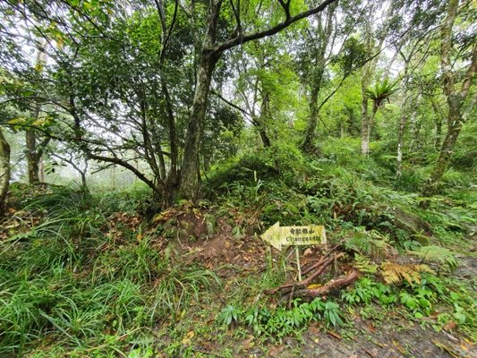 【豐濱-阿美族聖山】八里灣山朝聖去~897826