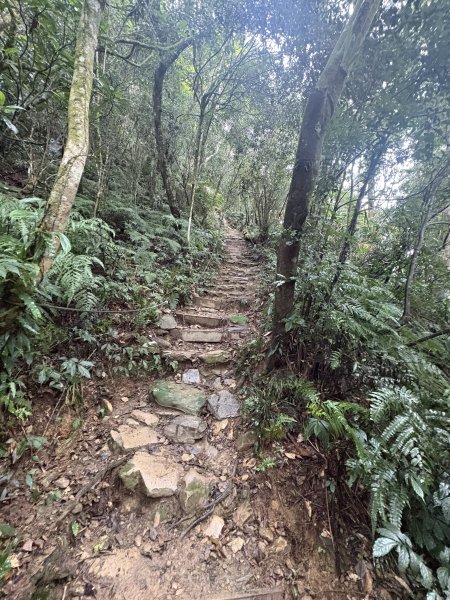 20251227尾寮山登山步道2970531