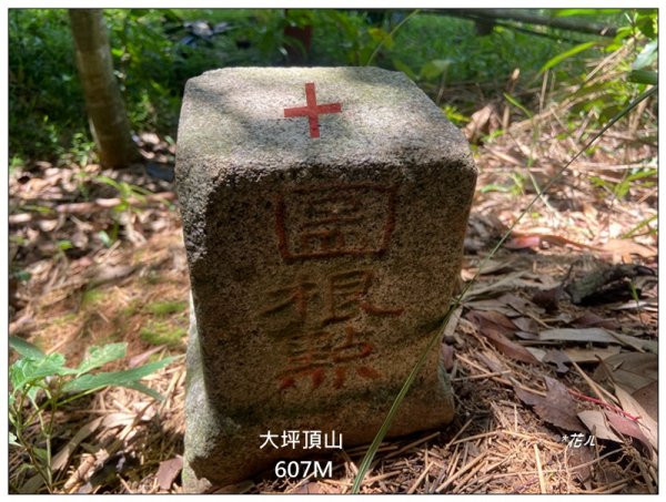 大坪頂山 (苗栗、卓蘭)