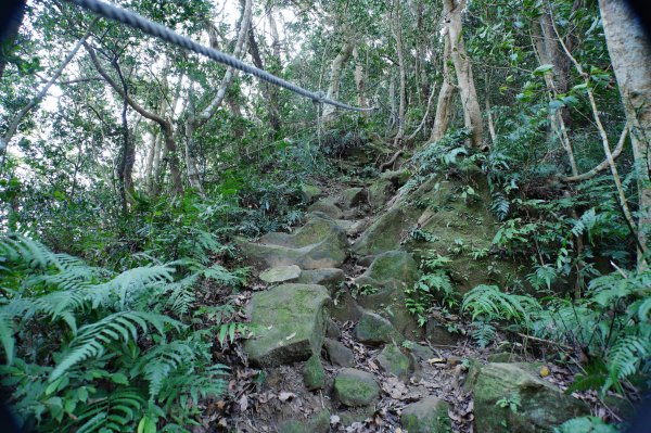 新竹 關西 蓬萊仙島山、石牛山、油井窩山、福大山2982387