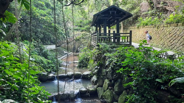 《台北》城市晨運｜虎山親山自然步道（松山慈惠堂）20250522