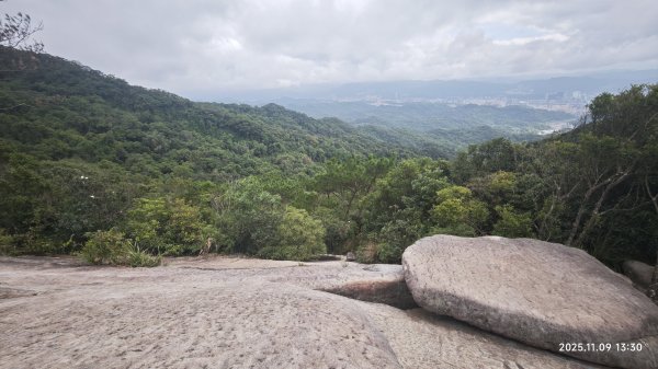 20251109 士林站到大湖站(福山宮_腰繞_燕溪古道_翠山步道_龍船岩_大溝溪)2932363