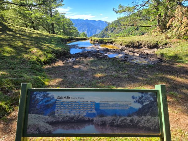 麟趾山、鹿林山、鹿林前山三山縱走2630031