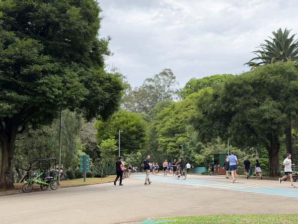 [紐約馬之行-68] 2025_1116 伊比拉布埃拉公園-中2955120