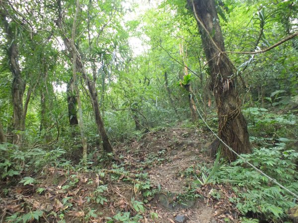 百二階古道+苕谷瀑布+逸仙山+泰和樓2734453