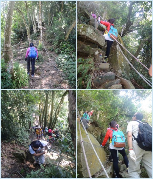 獅潭仙山步道444236