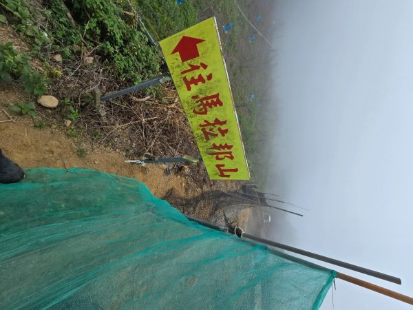 馬那邦山之雲海／雲瀑／楓紅／太陽琉璃光2668313