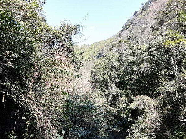 再戰霞喀羅國家步道，養老登山口↹白石吊橋538014