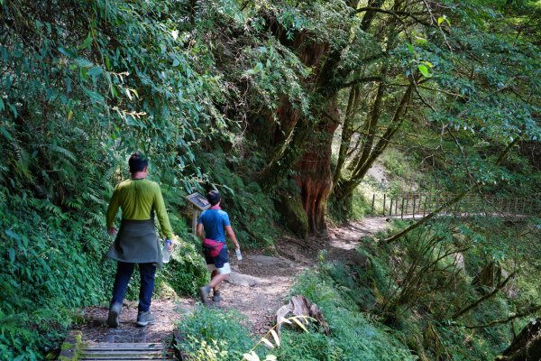 南橫三星 | 前緣再續。關山風月登庫哈諾辛、塔關山順訪中之關。1780129