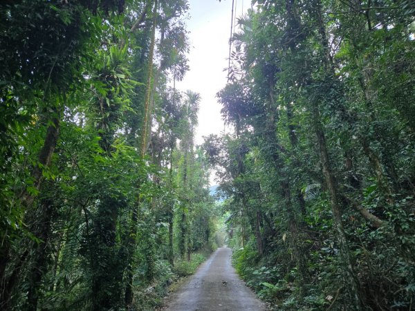 九龍山連走大凍山2955699