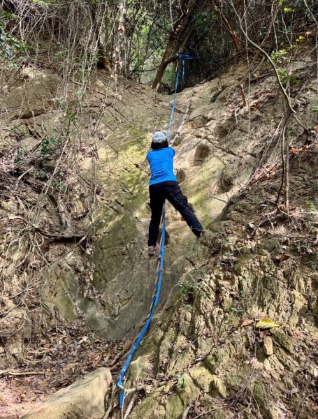 大社觀音山(小百岳#)2968581