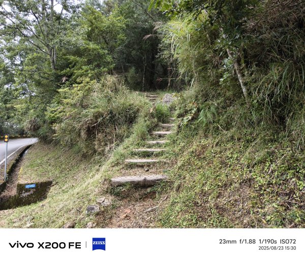 [玉山尋寶任務-06/12] 2025_0823 東埔山步道2870133