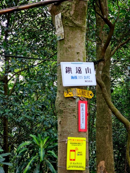 (大棟山系)405高地-2025微笑山線大縱走尋寶集章任務2844194