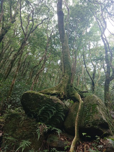 滿月圓-東滿步道1293527