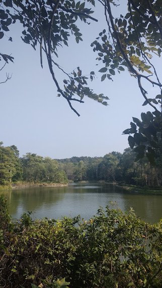 2020 2/4 虎頭埤878922