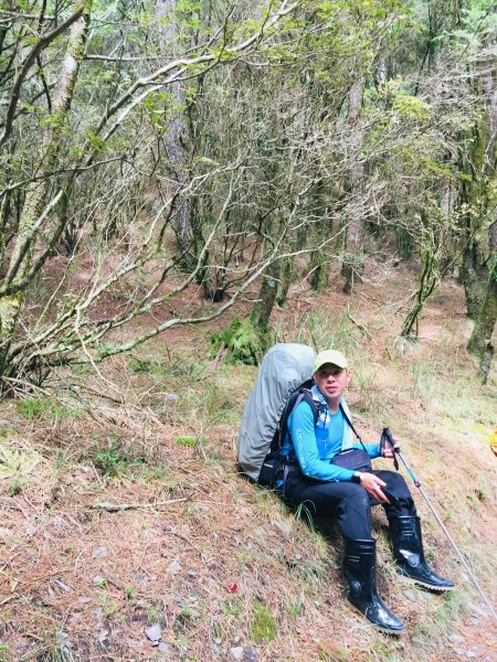 猴子就是愛爬山(奇萊南華)#5.6567214