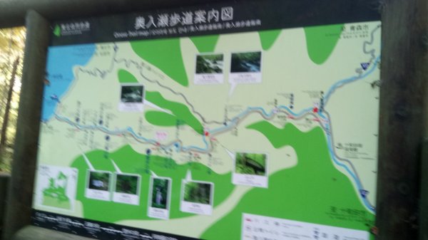 奧入瀨溪健行444360