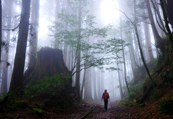 迷霧幽幽~特富野古道691953