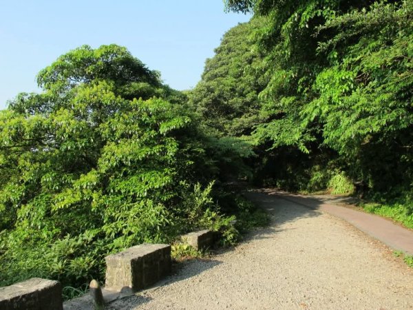 1010507二子坪步道3099506