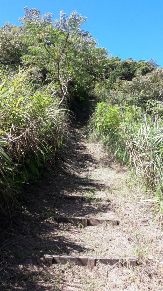 炮子崙-猴山岳P型668364