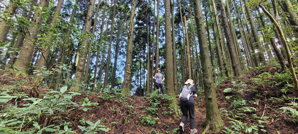 鳥嘴山步道-2025/06/07