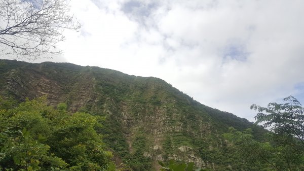 里龍山1682893