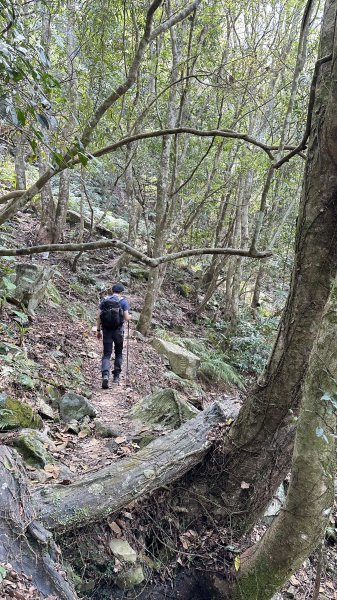 崩潰陡上的水雲三星～鳥嘴山（上島山）2095293