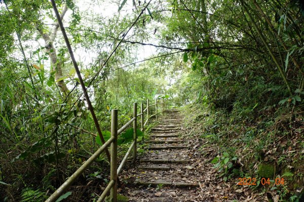 嘉義 番路 烏心石山1665781