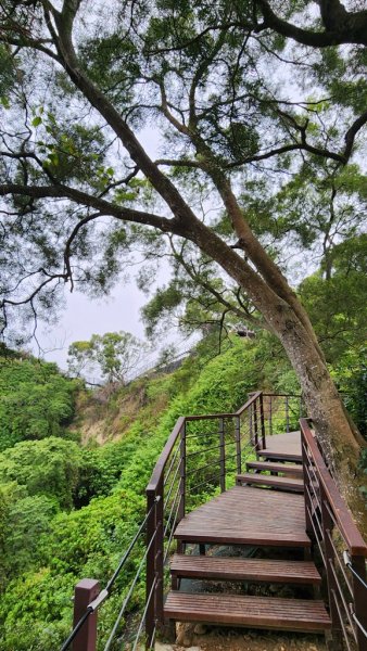 田中麒麟山連走田中森林公園北天宮O繞+ 田中大小劍逆走2756720