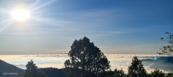 #太平山 #望洋山 #觀雲步道 #日出 #雲海 11/82931181