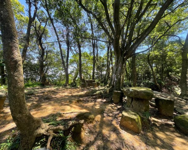 微笑山⛰️線-大棟-二格山-五分山-天上山-鳶山💎12條步道完成💙2837232