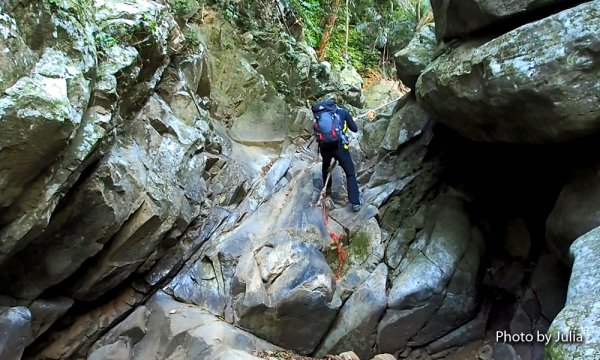 恆春半島第一高峰-里龍山(竹坑登山口入)878682