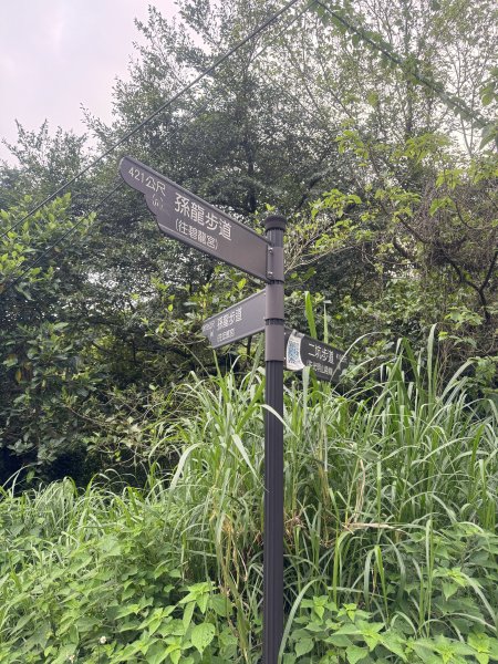 鶯歌石步道小O型路線3036055