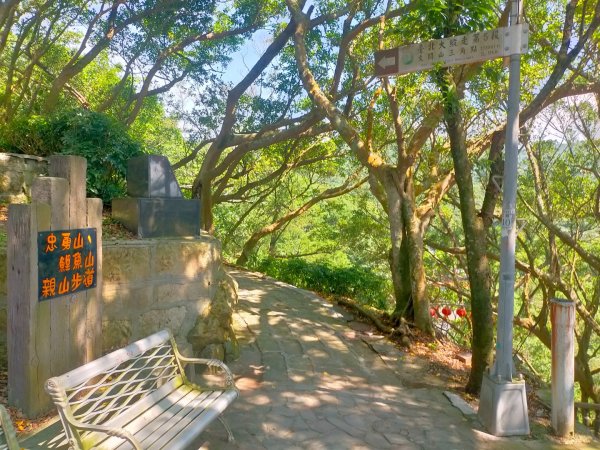臺北大縱走第五段：捷運劍潭站至碧山巖（劍潭支線）2787070