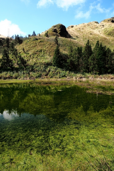 七星山主東峰走春95320