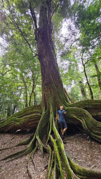 20251014雪見遊憩區 🚴‍♂️咖搭車走司馬限林道上東洗水山兩刷北坑山至大板根2916436