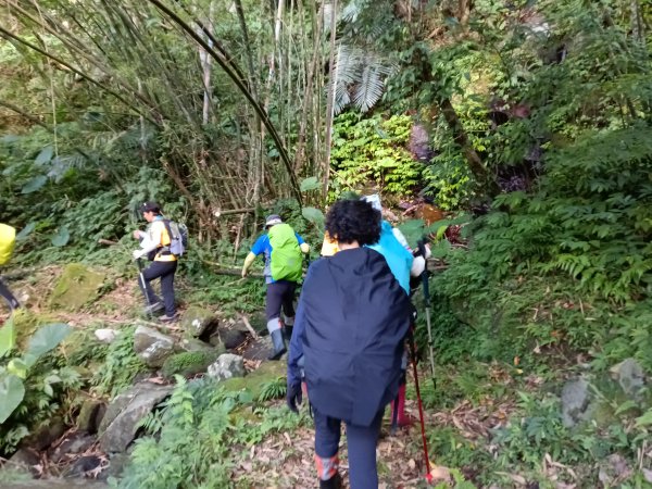 雙溪區大湖尾古道+灣潭古道O型2874792