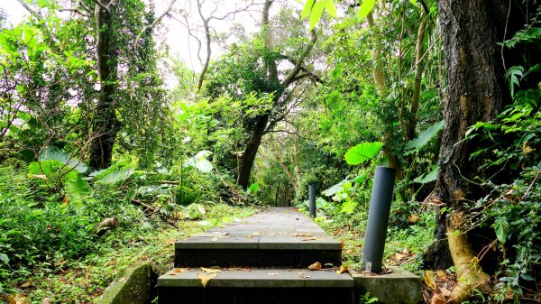 微笑山線和美山螢火蟲段2845893