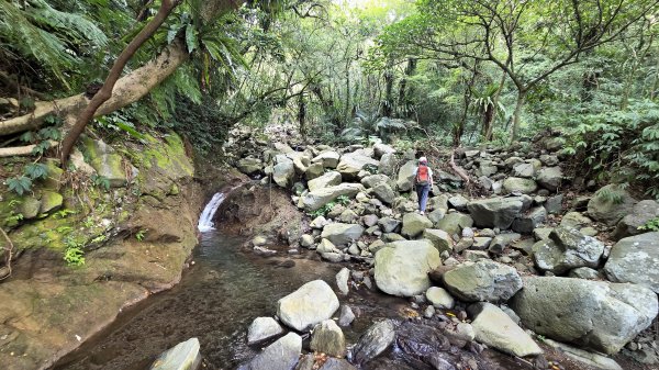 享受台北近郊陽明山小秘境楓林瀑布的清新芬多精2996555