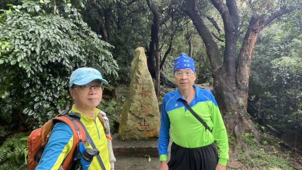 一等南方山頭在大棟山|大同山|青龍嶺|峯花雪月2640037