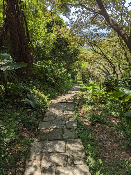 2023-08-26 臺北大縱走第七段2792866