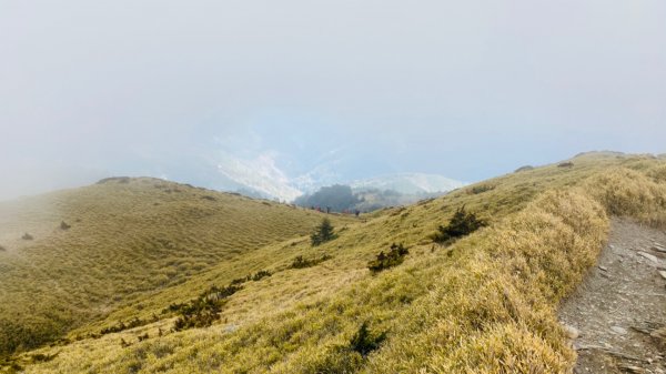合歡北峰。時晴時霧時雲雨1481408