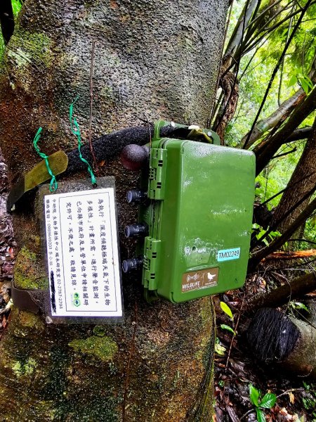 2025臺北大縱走第一段：關渡至二子坪2973517