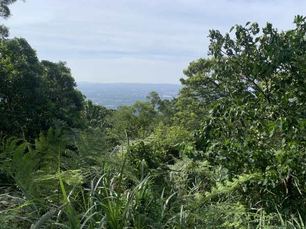 桃園石門山（小百岳）652880