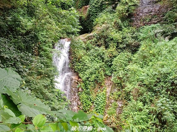 【花蓮】 楓林步道好視野x撒固兒步道、撒固兒瀑布超沁涼2247906