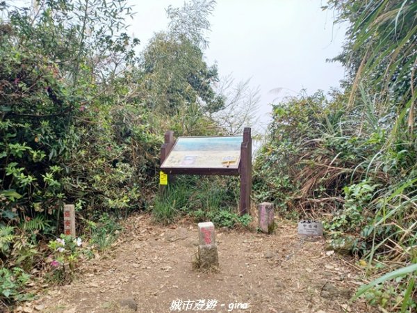 【新竹竹東】五指山登山步道3004818