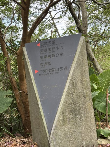 2025-09-06 牛港稜山步道2883855