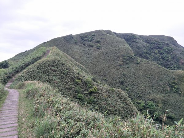 小百岳：灣坑頭山1354971