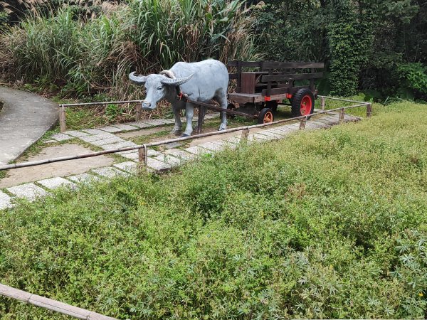 臺北大縱走第七段&第八段3019194