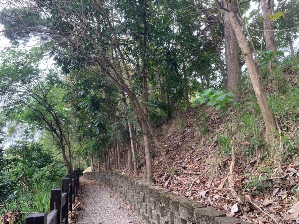 阿罩霧山、中心瓏步道2768916